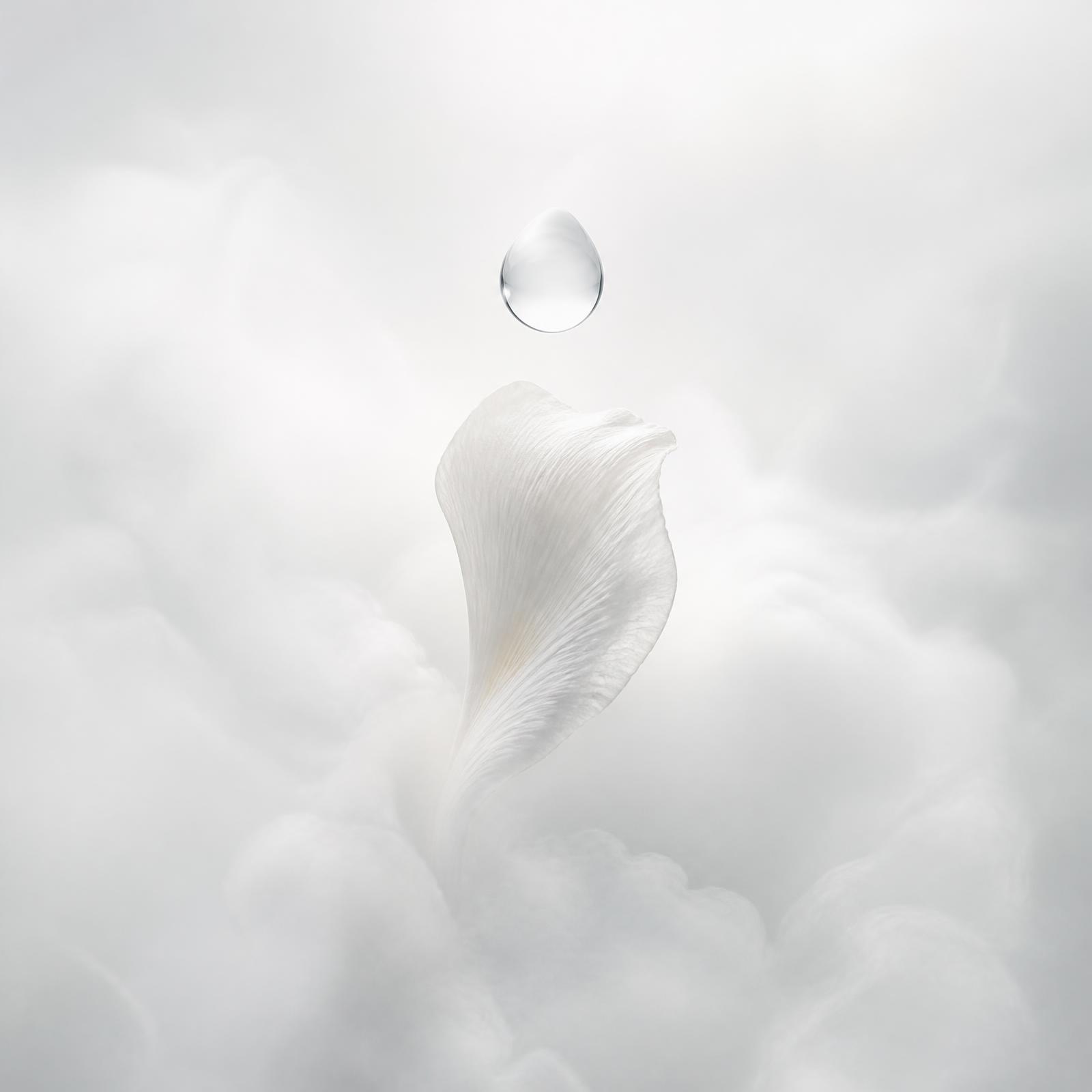 A petal and droplet rising through cloud