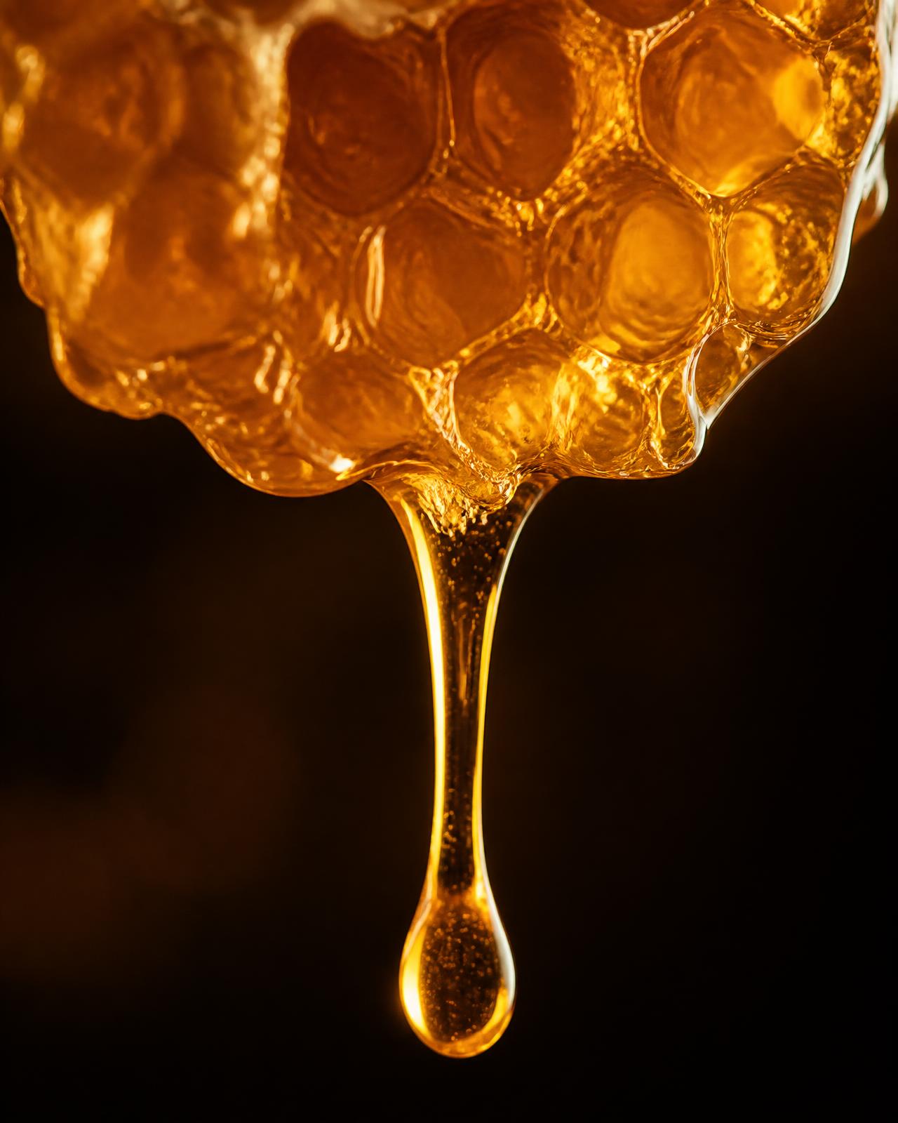 Honey botanical macro